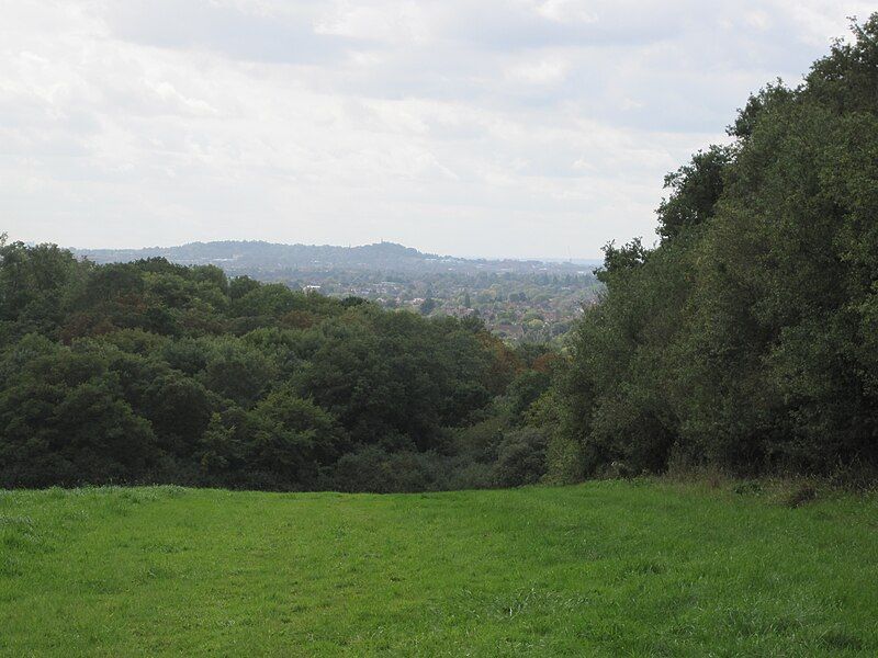 File:Moat Mount view.JPG