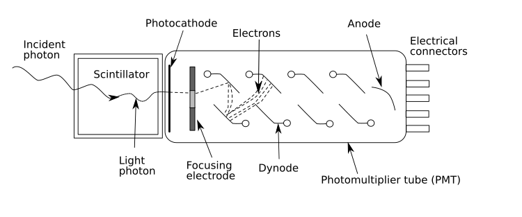 File:Photomultipliertube.svg