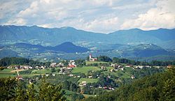 The village of Sveti Vrh in the Municipality of Mokronog-Trebelno