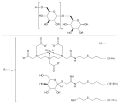 Technetium (99mTc) tilmanocept