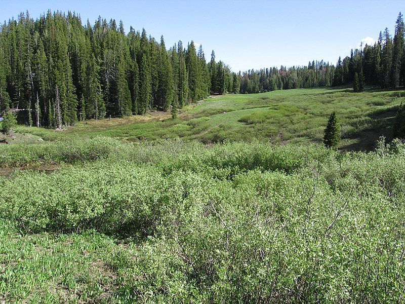 File:Teton fields.JPG