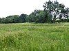 Thelnetham Fen