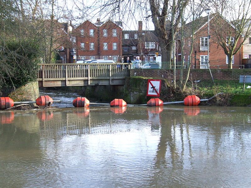 File:TonbridgeBotanyStr0038.JPG