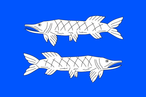 File:Čikov TR flag.svg