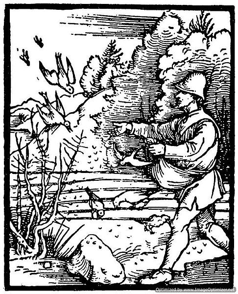 File:Albrecht-Durer-The-Parable-of-the-Sower.jpg