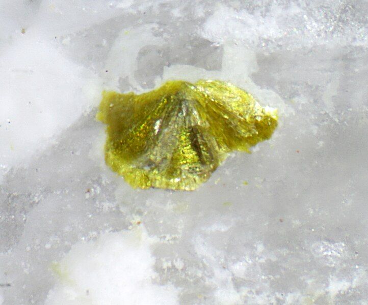 File:Alcantarillaite.jpg