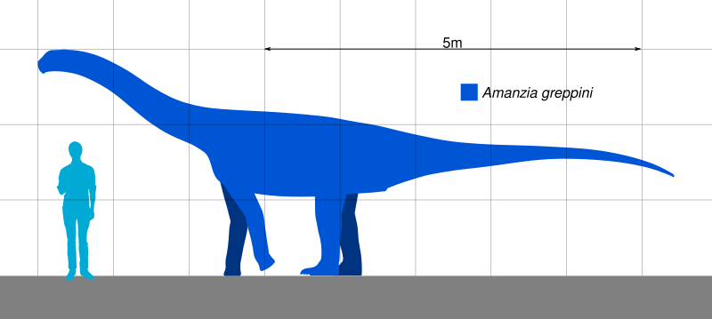 File:Amanzia Scale.svg