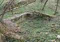 Bankovics mill, Budafa, 2005