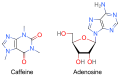 A comparison of Caffeine and Adenosine