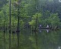 photograph of the Choctaw National Wildlife Refuge