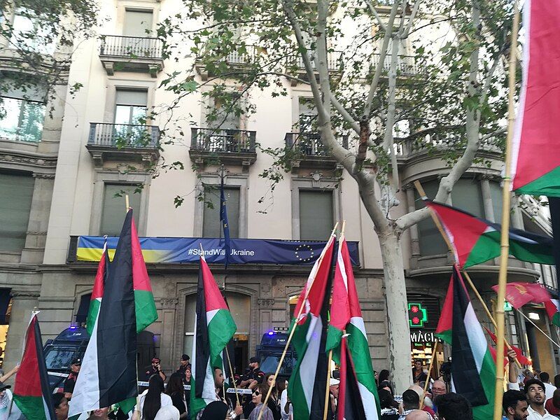 File:Concentracio Palestina Banderes.jpg