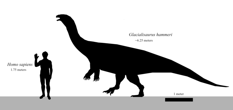 File:Glacialisaurus size.png