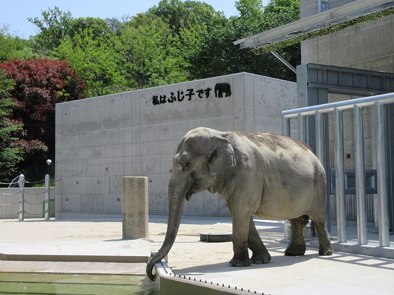 File:Higashi-Park-Elephant-2.jpg