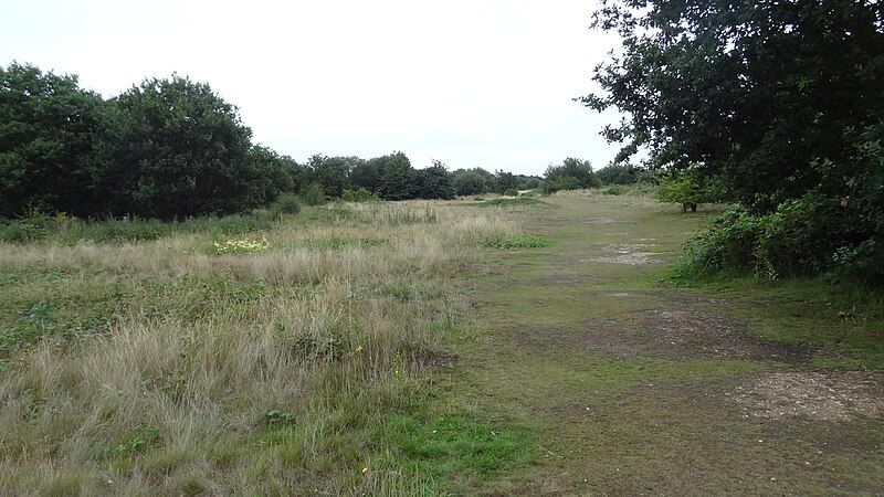 File:Hounslow Heath 1.JPG