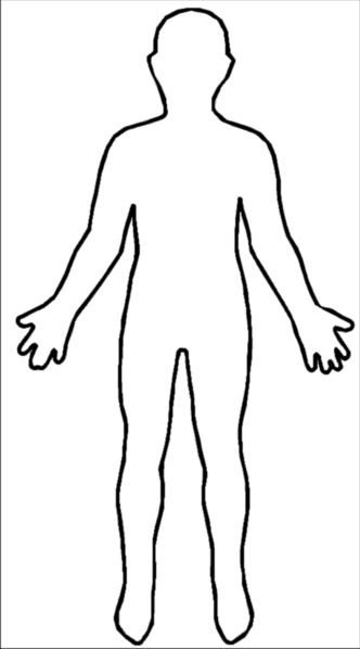 File:Human body outline.png