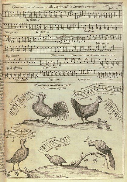 File:Kircher-musurgia-bird-song.jpg