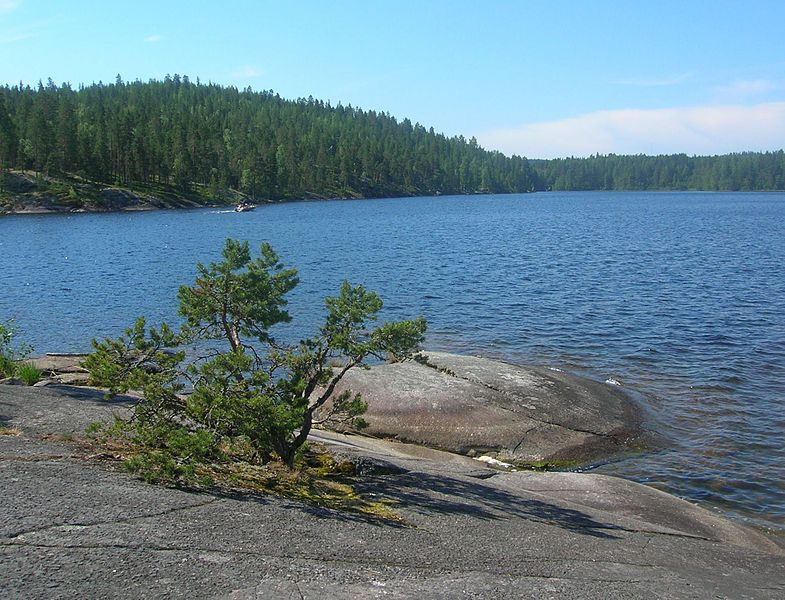 File:Kynsivesi near Kaivannonkanava.JPG