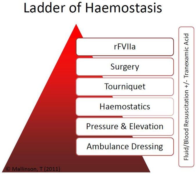 File:Ladder of Haemostasis.jpg