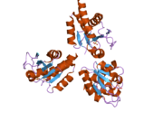 2nt2: Crystal Structure of Slingshot phosphatase 2