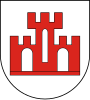 Coat of arms of Żychlin