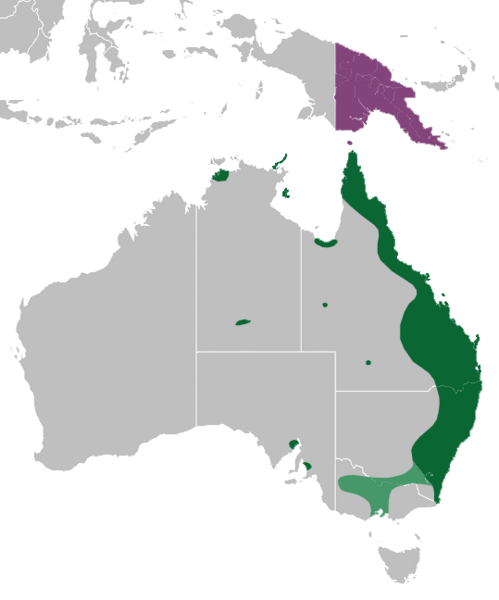 File:Papilio aegeus range.png