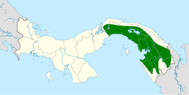 File:Phylloscartes flavovirens map.svg