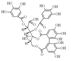 Chemical structure of punigluconin