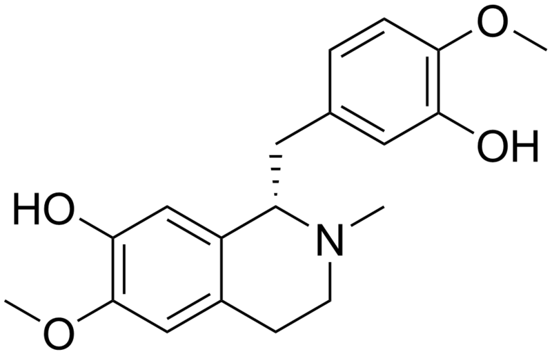 File:Reticuline.png