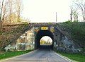 A view of the Rock Road Bridge, the former Erie Railroad over South Rock Road.