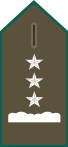 File:SS.OO.6.CARAB.BLUSON.CORONEL..svg