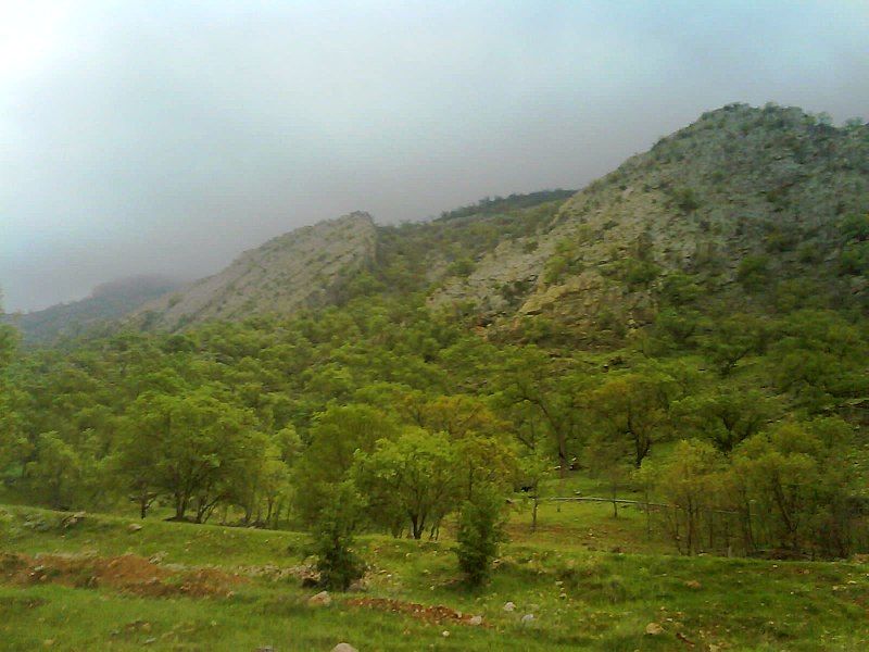 File:Tangedil.jpg