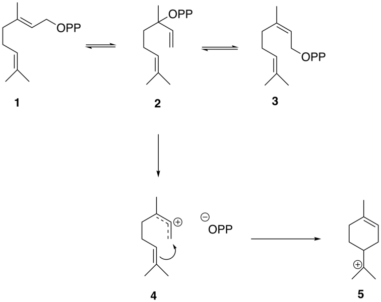 File:The-conversion-of-gpp-to-alpha-terpinyl-cation.png