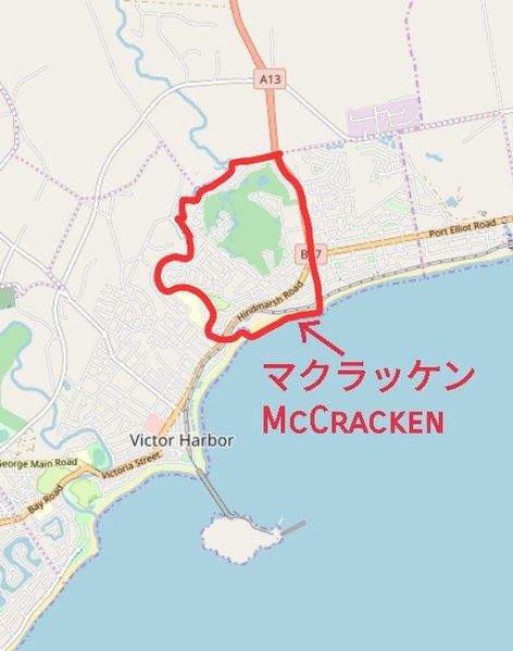 File:TheLocationOfMcCracken.jpg