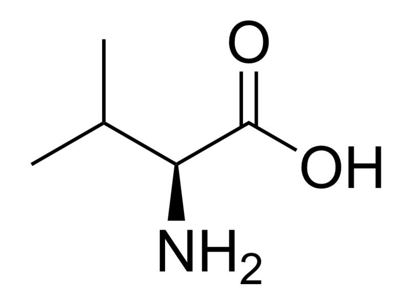 File:Valine2.png