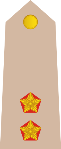 File:09-Somali Army-1LT.svg