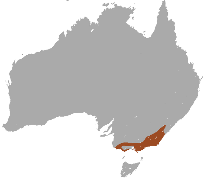 File:Agile Antechinus area.png