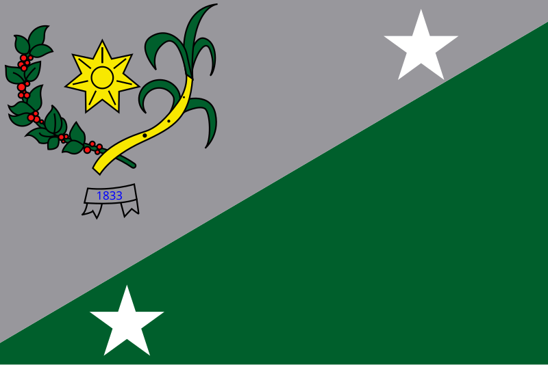 File:Bandeira Bonito PE.svg