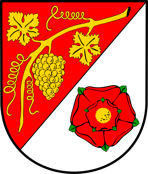 File:DEU Irsch COA.svg