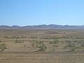 In the steppe north of the town of Shu