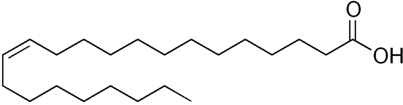 File:Erucic acid.png