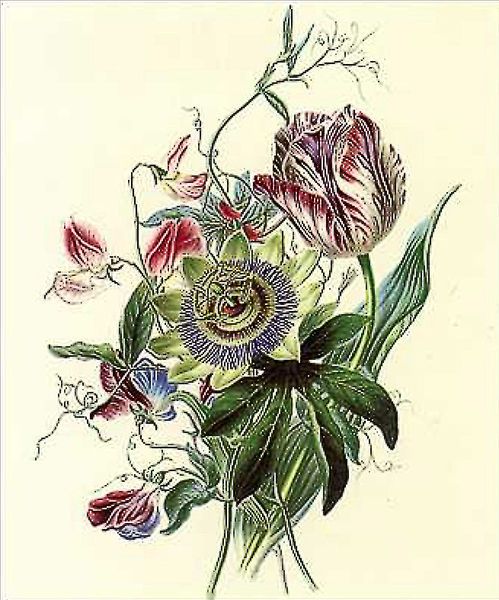 File:Flora's Gems04a.jpg