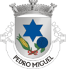 Coat of arms of Pedro Miguel