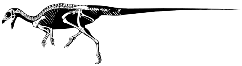 File:Hexinlusaurus multidens.png