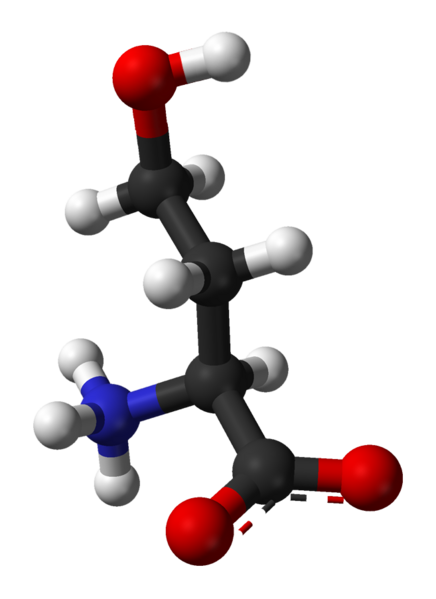 File:L-Homoserine-zwitterion-3D-balls.png