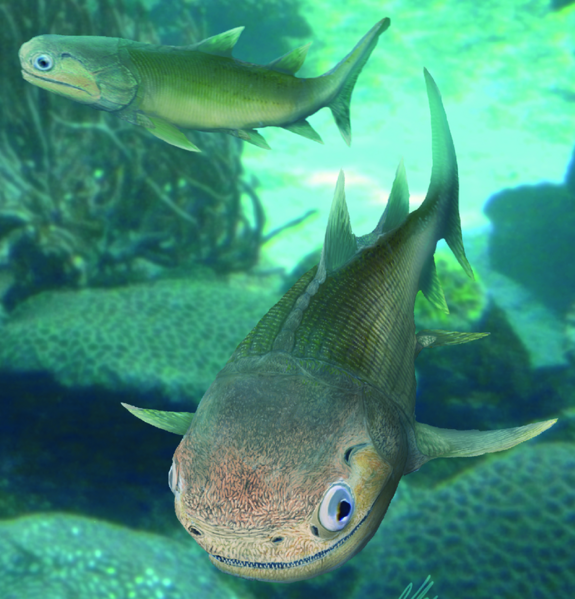 File:Life-reconstruction-of-Ligulalepis-Based-on-the-skull-roof-morphology-of-AM-F101607.png