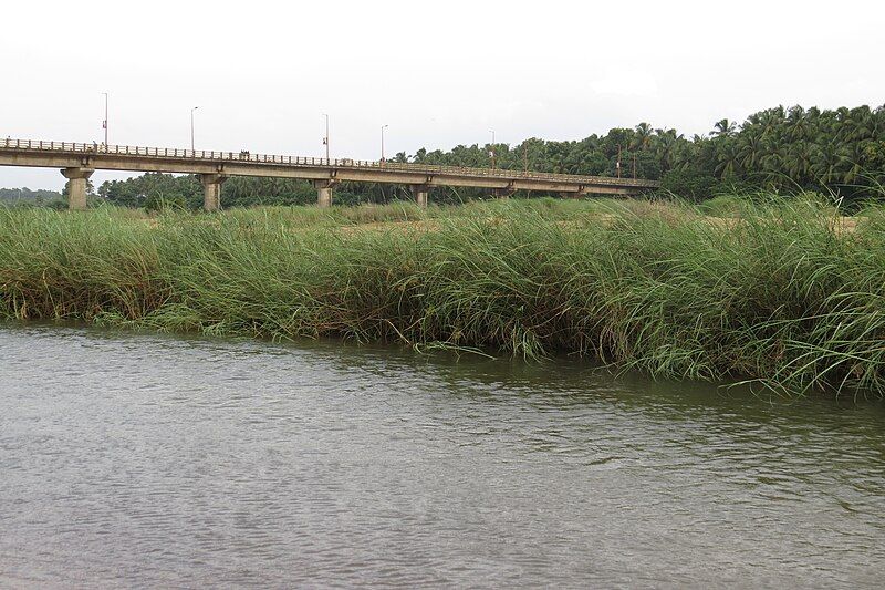 File:Mayannur Bridge.jpg