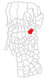 Location in Argeș County