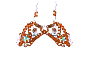 2aa6: Mineralocorticoid Receptor S810L Mutant with Bound Progesterone