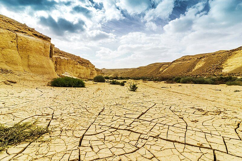 File:Parched land.jpg