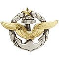 Naval Pilot's Badge